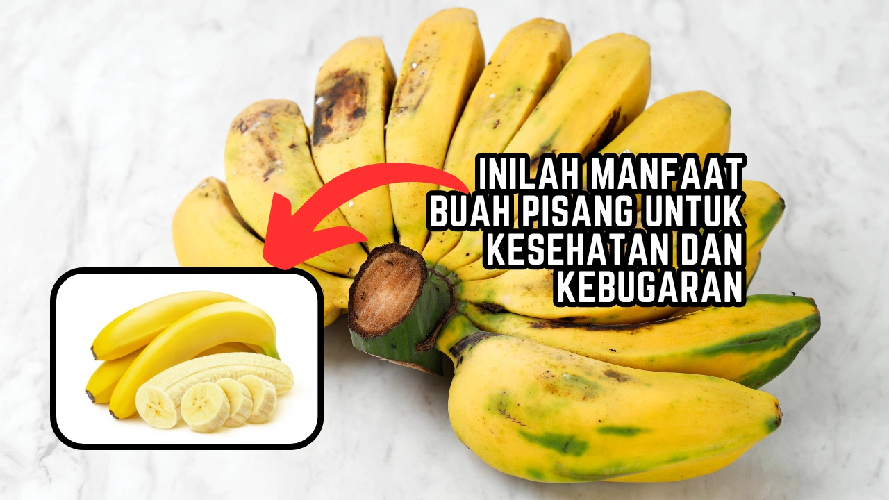 Inilah Manfaat Buah Pisang Untuk Kesehatan Dan Kebugaran Politeknik