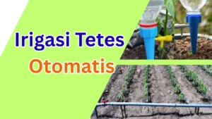Irigasi Tetes Otomatis - pmt.ac.id